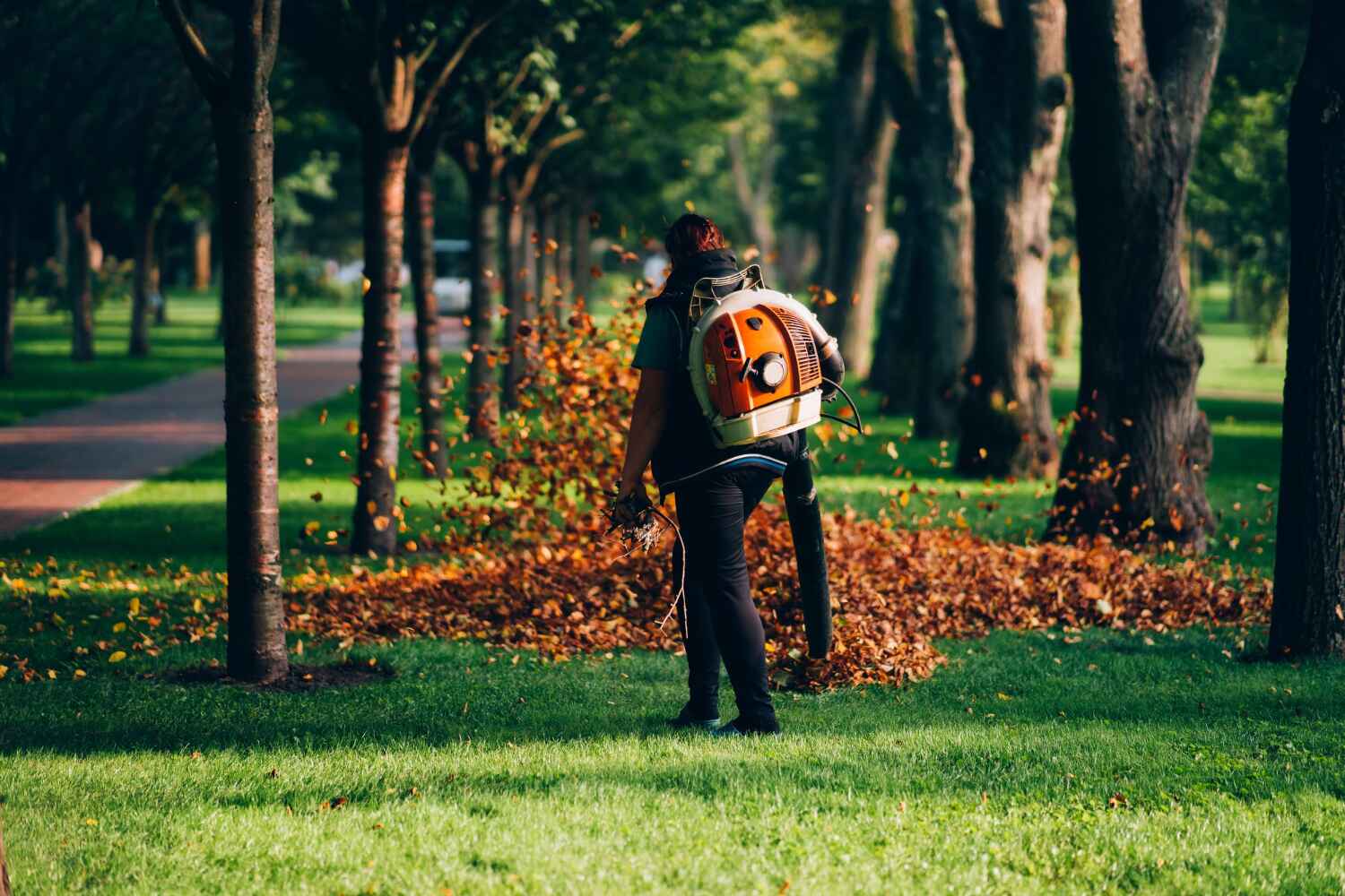 Best Large Tree Removal  in Bear Creek, FL